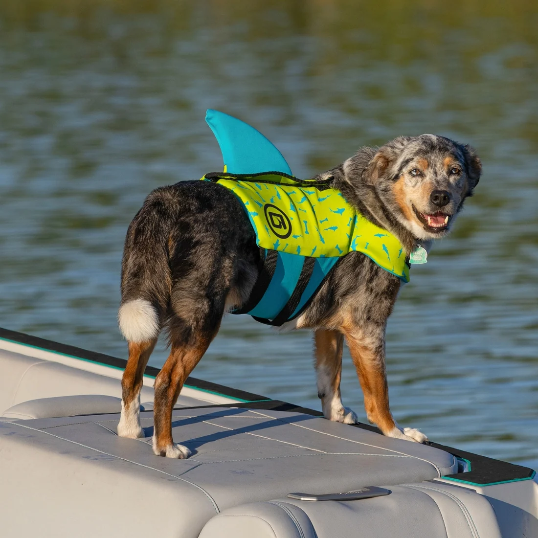 O'Brien Pet Life Vest with Fin - Image 2